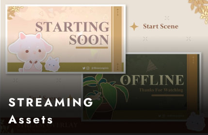 Streaming asset